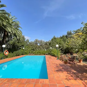 En Medio Del Bosque, El Lance Сasa de vacaciones